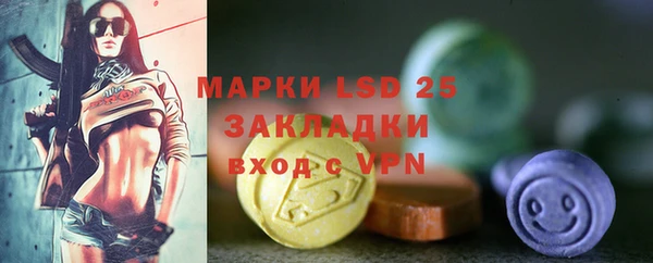 индика Абдулино