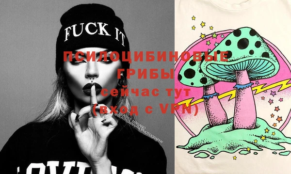 индика Абдулино