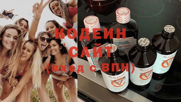 ГАЛЛЮЦИНОГЕННЫЕ ГРИБЫ Абаза