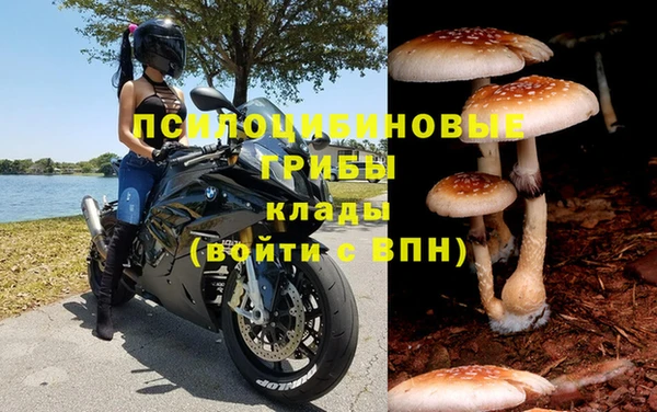 ГАЛЛЮЦИНОГЕННЫЕ ГРИБЫ Абаза