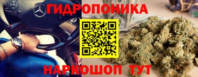 ALPHA PVP Пугачёв