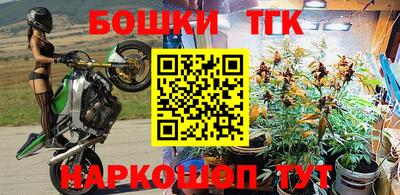 ALPHA PVP Пугачёв