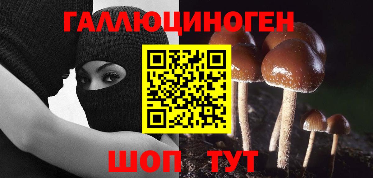 Галлюциногенные грибы Magic Shrooms  Вход с VPN  Северодвинск 