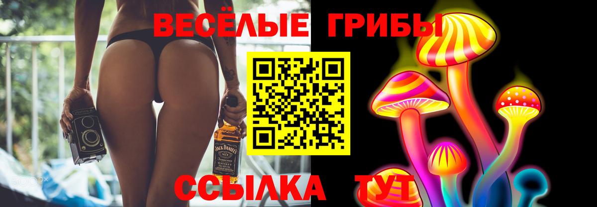 Галлюциногенные грибы Magic Shrooms Северодвинск